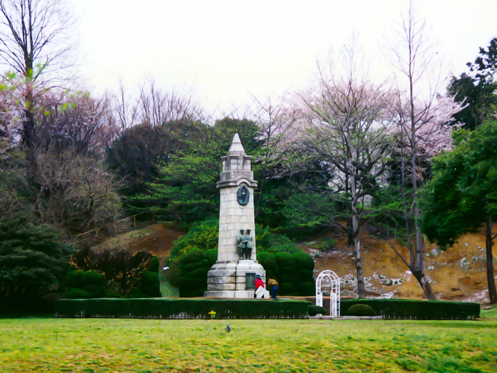 area image