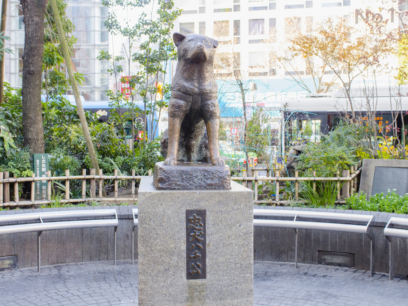 area image