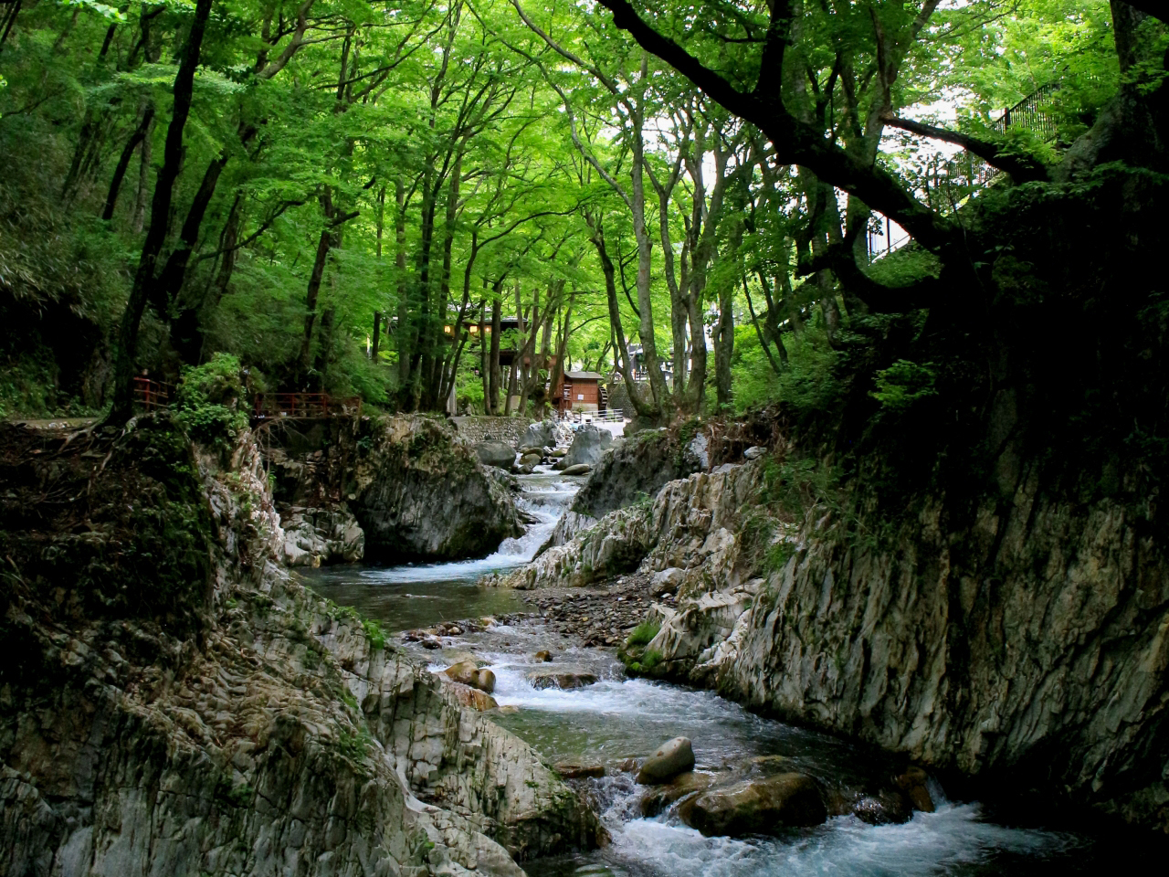 area image