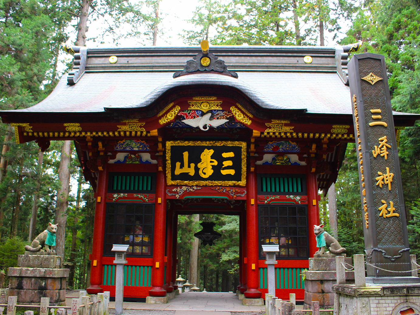 area image