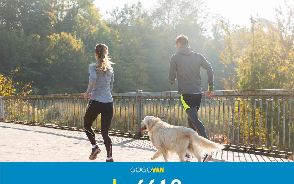3 Outdoor Activities You Can Do In Spring