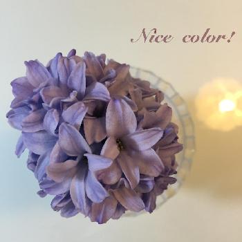 1453935722162_thum_1453935721026_thum_tmp