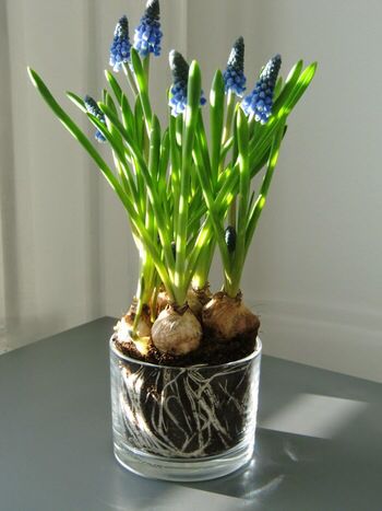 247ecef9130db383770be7f0c10b55d8