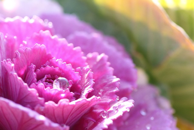 75feeb19170eb62a5f91a875b3c4df66_s