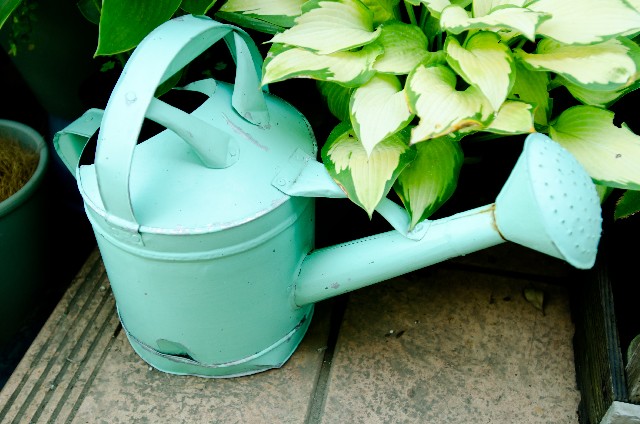 a4cf99070d3f673adc085166d9896a56_s