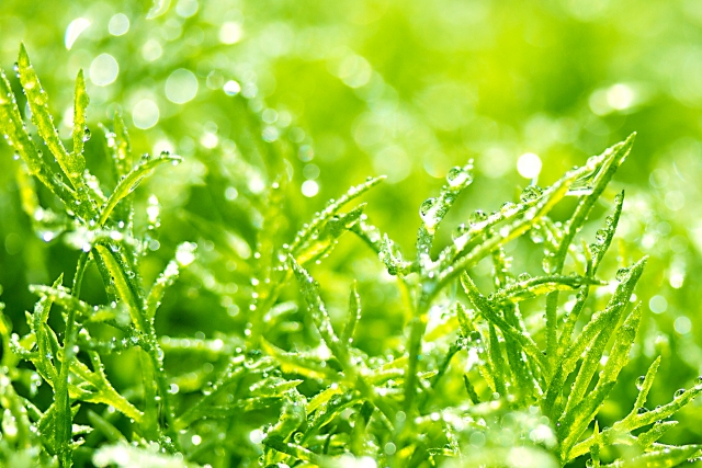 884ebc0d21fb5c4863e769a0e18be108_s