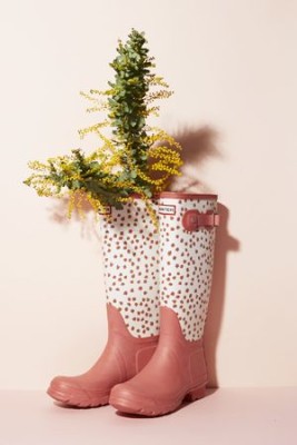 85aadea50ae35658f7e04e06fe940977