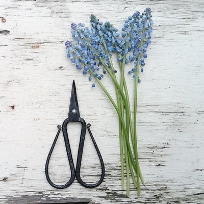 9403f13a5db329d3dfe10968d39bf1e3