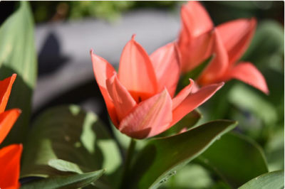 スクリーンショット 2016-04-19 13.18.49