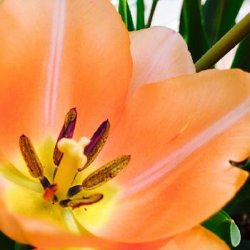 1460263939562_thum_1460263938844_thum_tmp