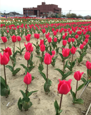 スクリーンショット 2016-04-19 13.24.47