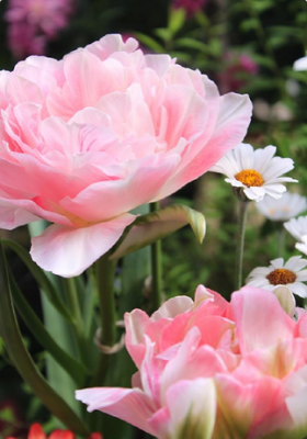 スクリーンショット 2016-04-19 13.29.44