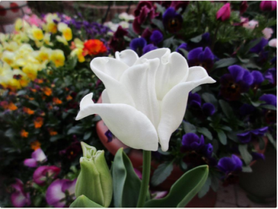 スクリーンショット 2016-04-19 13.36.50