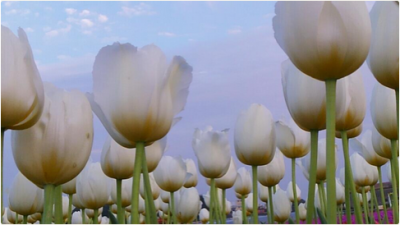 スクリーンショット 2016-04-19 13.40.52