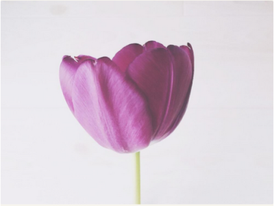 スクリーンショット 2016-04-19 13.45.56