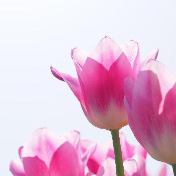 1460953179845_thum_1460953179427_thum_tmp