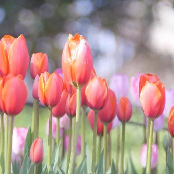 1460813810568_thum_1460813810090_thum_tmp