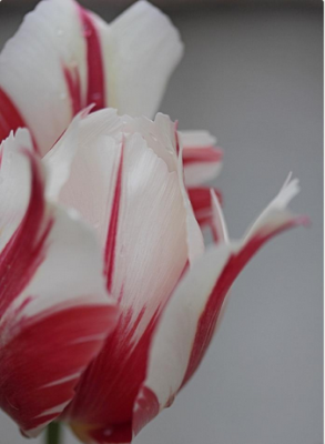 スクリーンショット 2016-04-19 14.14.45