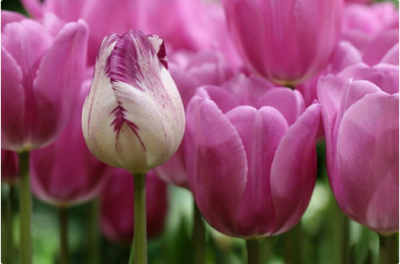 スクリーンショット 2016-04-19 14.42.09