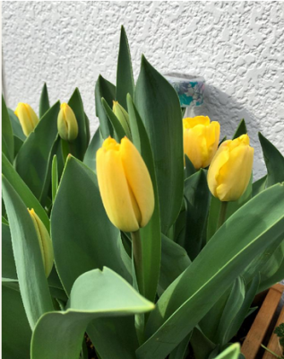 スクリーンショット 2016-04-19 14.47.43