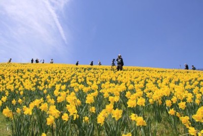 b4a8d828ff553f62e6bfbae233abed10