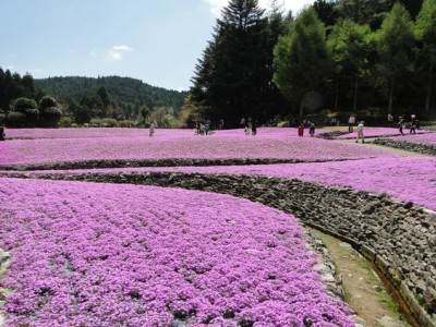 0ab1c394ca82553c7db5ceda22d8bdb0