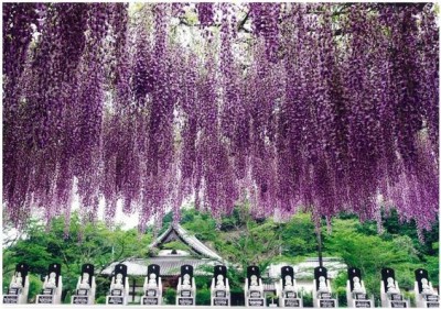 032e10fc2ea5e26dd8551eff79a49c51