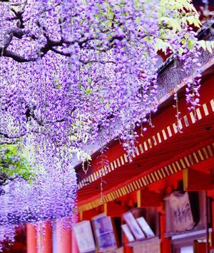 08ef693e2e1da69560dec0f81529dbea