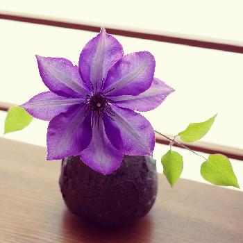 1462690268366_thum_1462690267875_thum_tmp