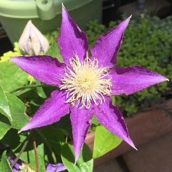 1460497794753_thum_1460497794089_thum_tmp