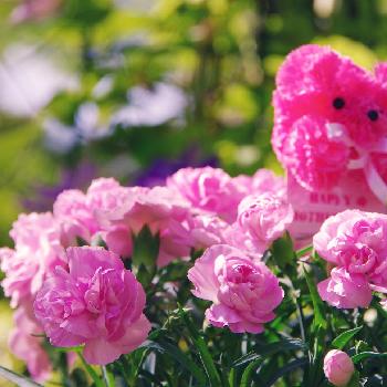 1462668726643_thum_1462668726112_thum_tmp