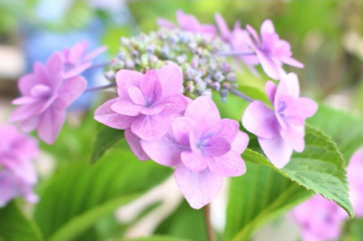 スクリーンショット 2016-05-11 14.15.22