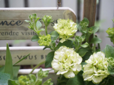 スクリーンショット 2016-05-13 7.04.09