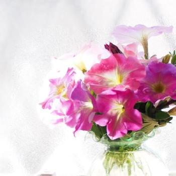 1458897129143_thum_1458897128372_thum_tmp