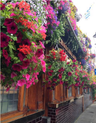 スクリーンショット 2016-05-17 11.21.22