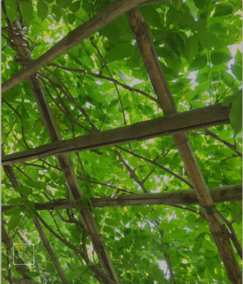 スクリーンショット 2016-05-24 13.51.05