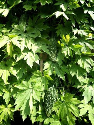 66b5f92ece673549470bdb4c9c63b584