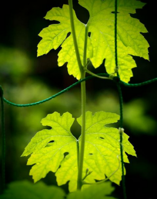 スクリーンショット 2016-05-24 14.08.29