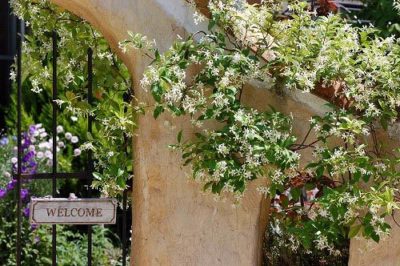 8e0928a026830b27c8a967634c31b49c