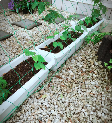 スクリーンショット 2016-05-24 19.06.14