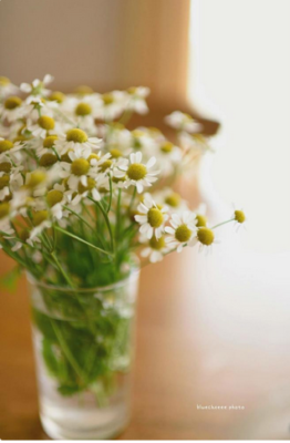 スクリーンショット 2016-05-30 10.44.08