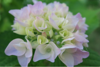 スクリーンショット 2016-06-06 6.29.06