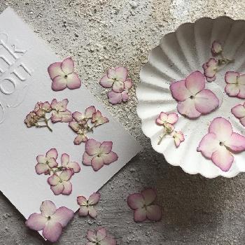 1464760860239_thum_1464760859847_thum_tmp