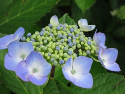 6c5c46d0c7275bf4bd71ba9b6399def0