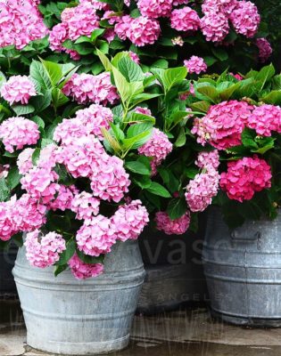 a5deb977a3751ab032b18c06bbf43542