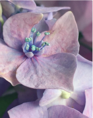 スクリーンショット 2016-06-07 15.26.57