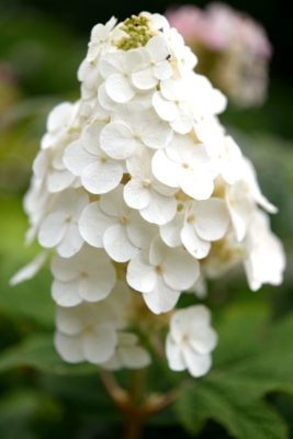 fcd597de6b5a4499a916767d023b7124