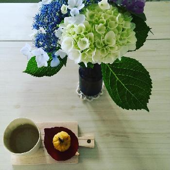 1465262983886_thum_1465262983381_thum_tmp