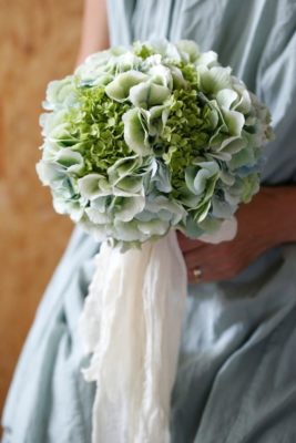 669129a162dbc1283280055bd525c557