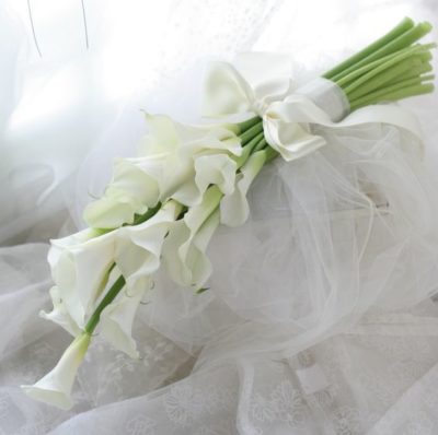 9e0751871866a2d4dc3e7abeafcaded2